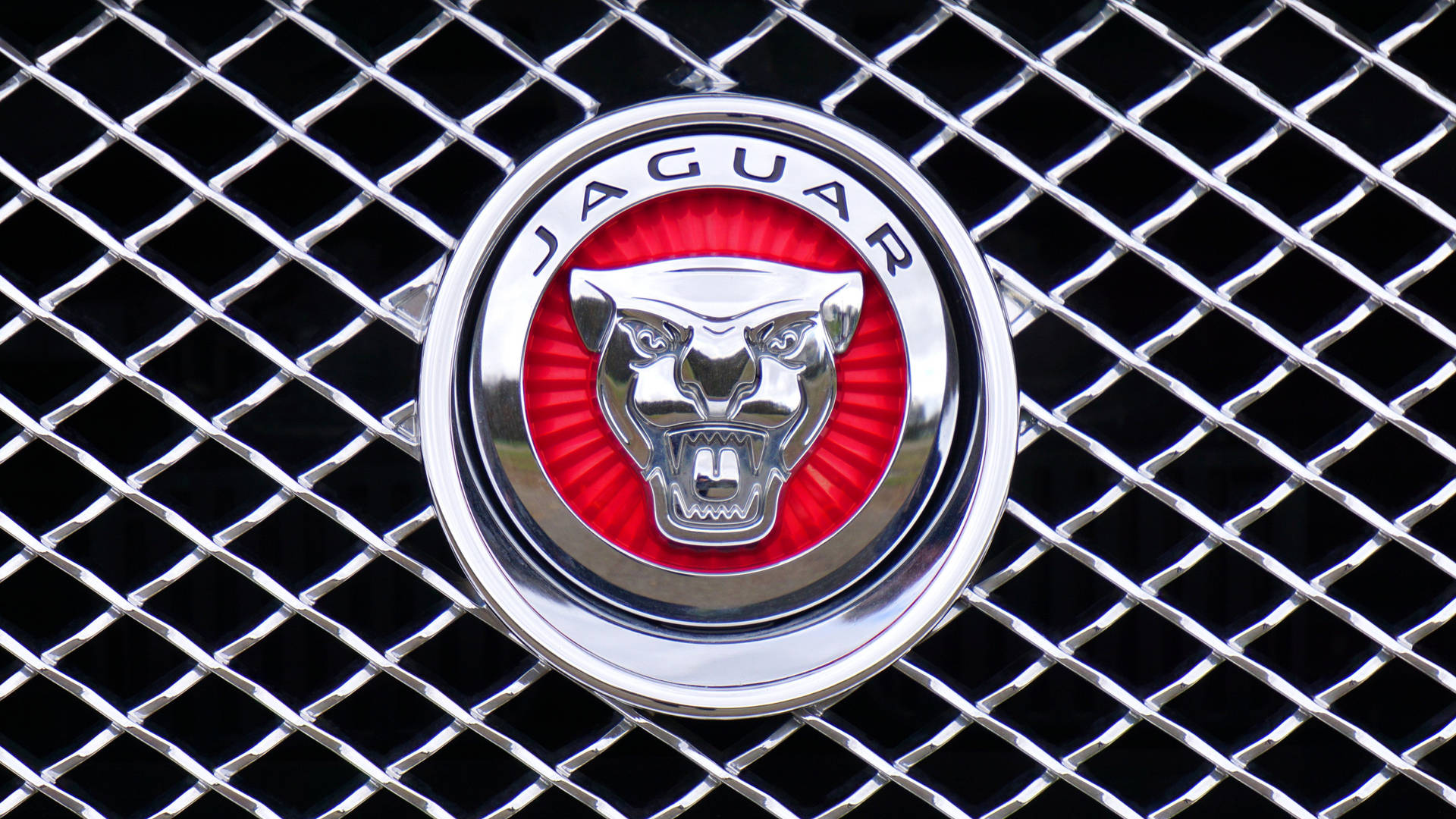 Representing Strength And Luxury - Jaguar Car's Head Symbol Logo Background