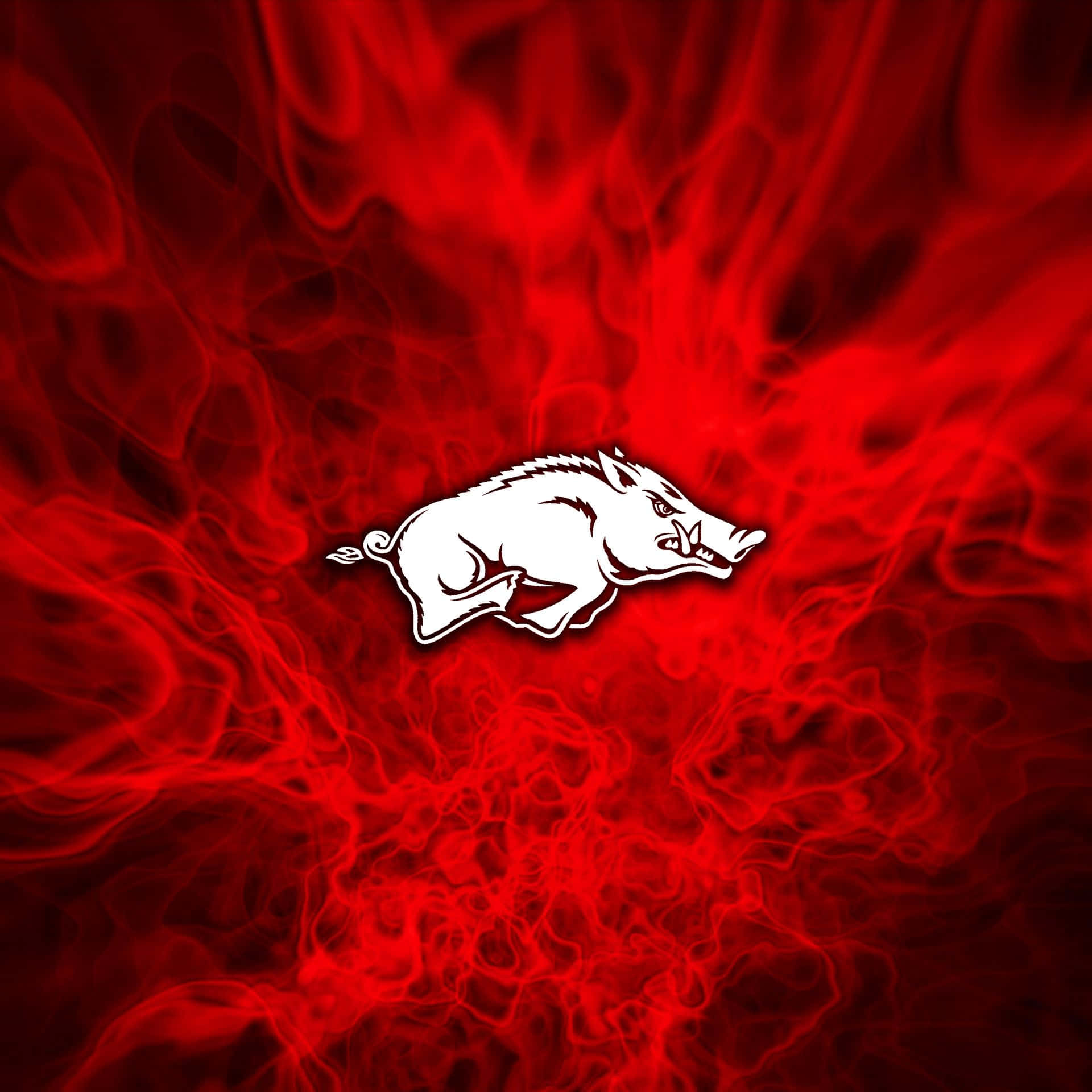 Representing The State Of Arkansas, The Razorbacks Proudly Stand Athwart Their Opponents. Background