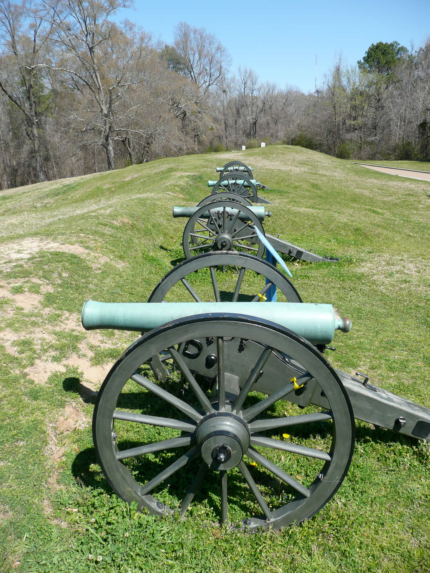 Reproduced Civil War Canons In Mississippi