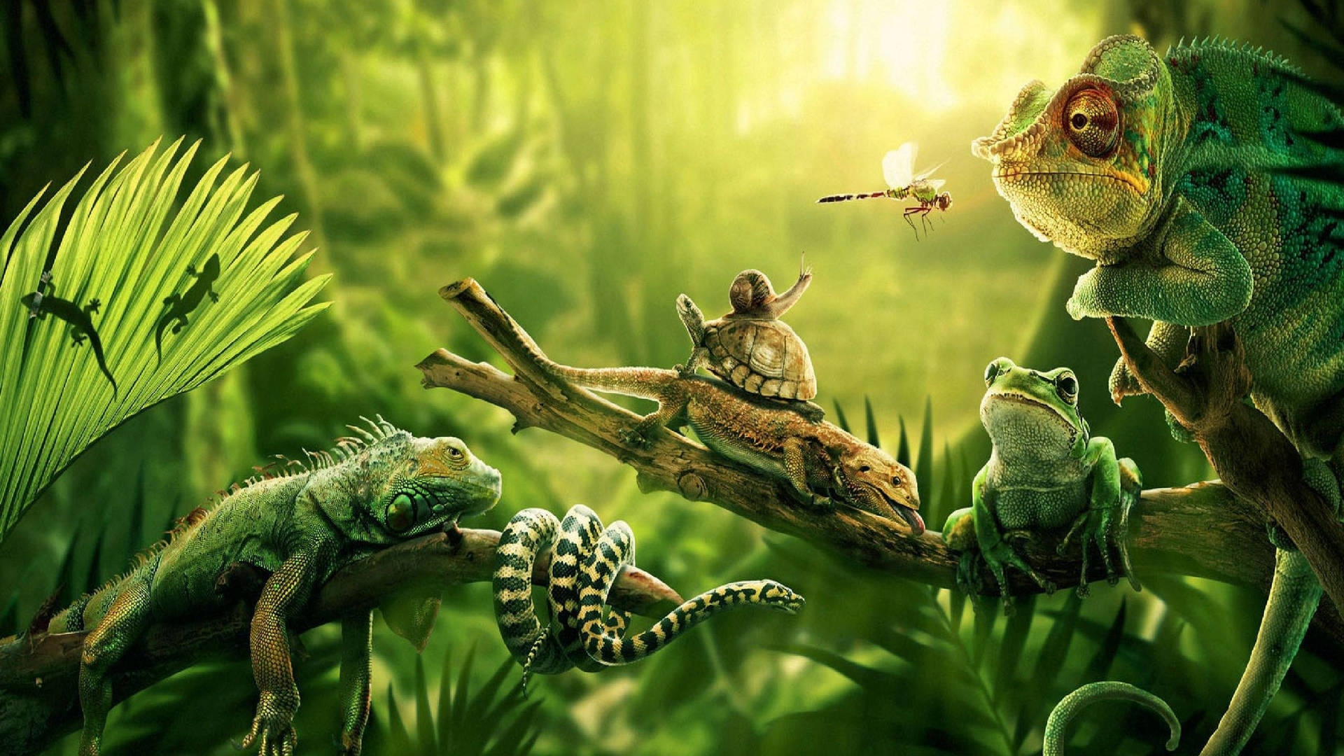 Reptiles Of The Jungle Background