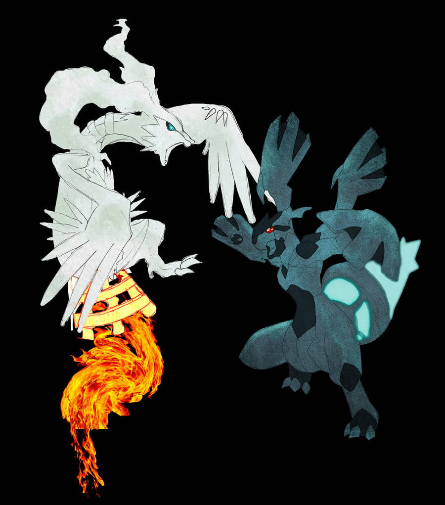 Reshiram And Zekrom Snarling