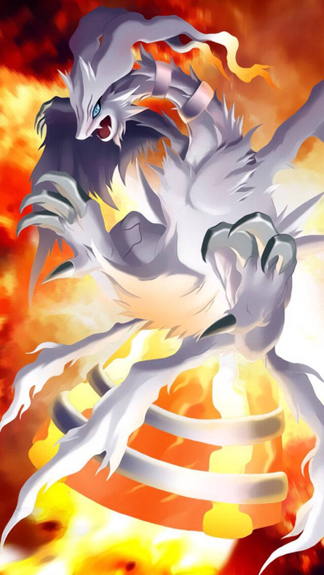 Reshiram Surrounded By Fire Background