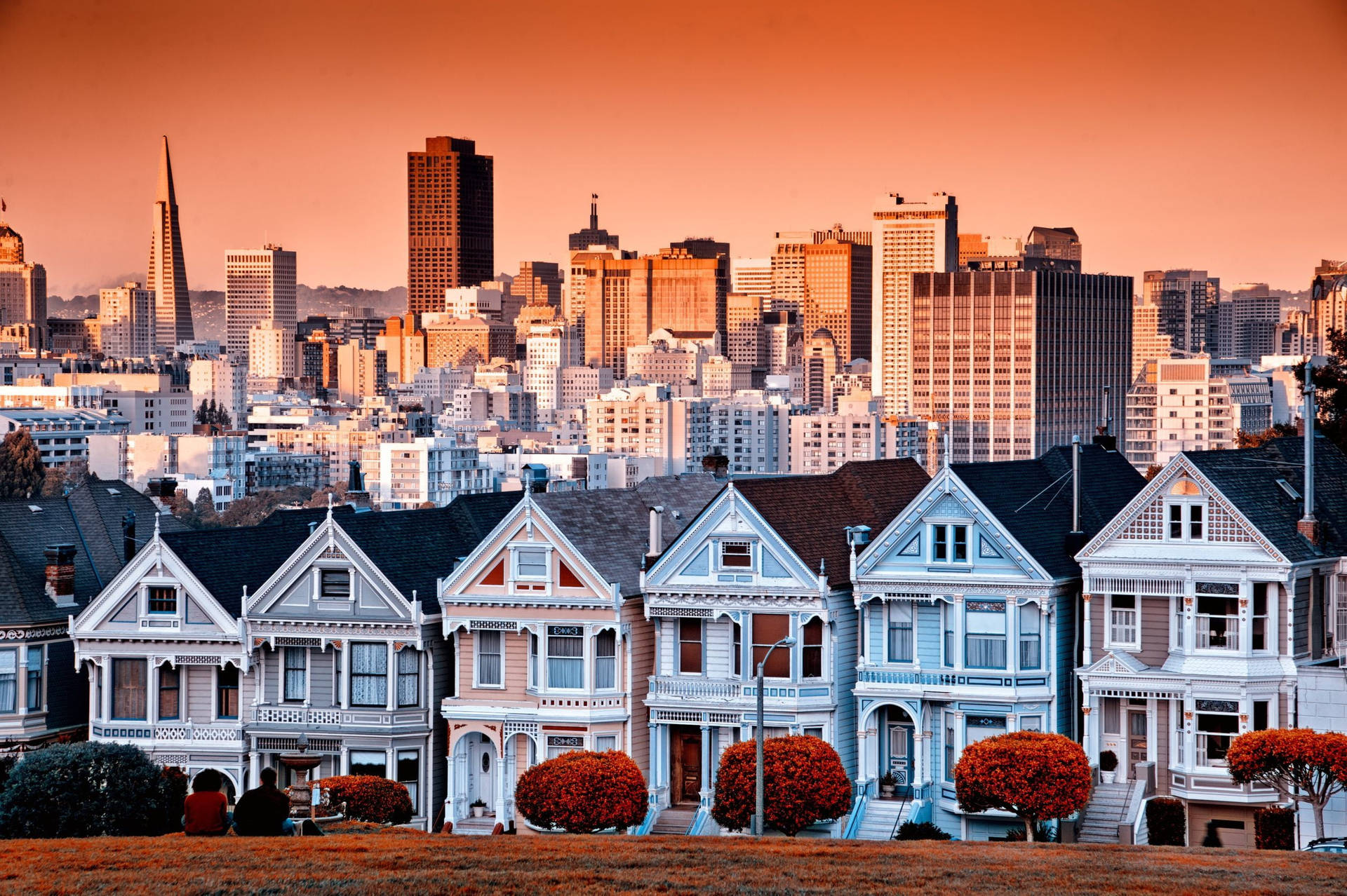 Residential San Francisco Skyline Background