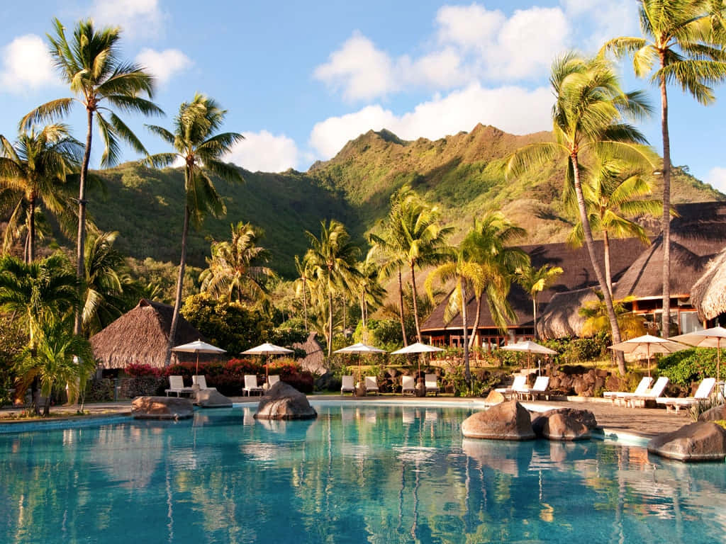 Resort Pool Mountain Background