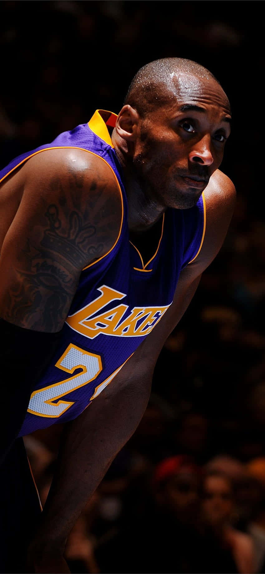 Resting Kobe Bryant Phone Background