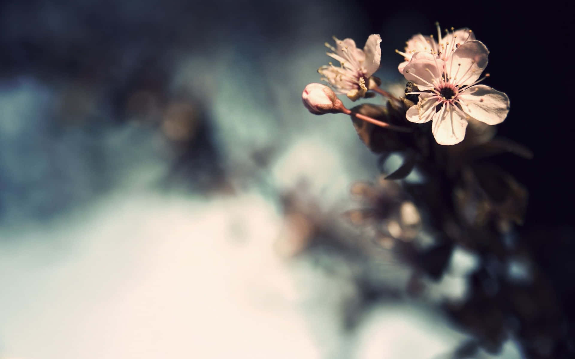 Retravel Vintage-style With This Classic Desktop Wallpaper Background