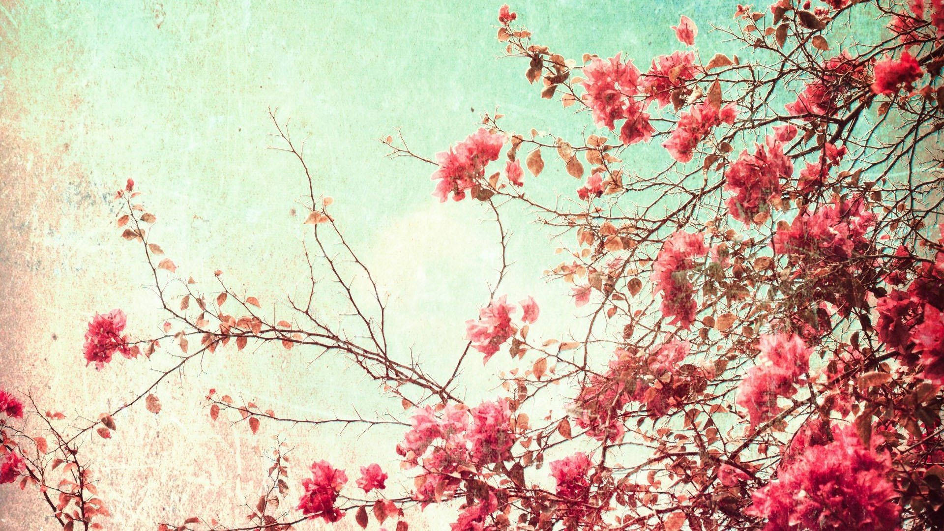 Retro Spring Aesthetic Background