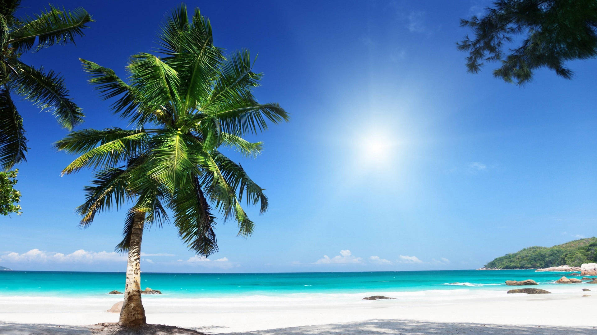 Revel In The Beauty Of A Tropical Beach Paradise. Background