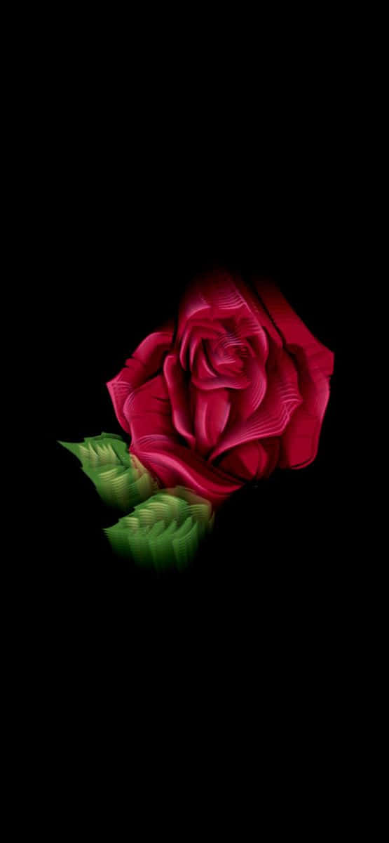 Revive Yourself With The Tranquil Beauty Of A Rose Background