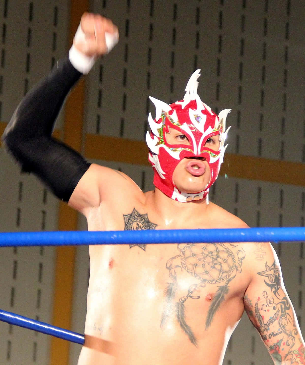 Rey Fenix In A Match Wrestler Background