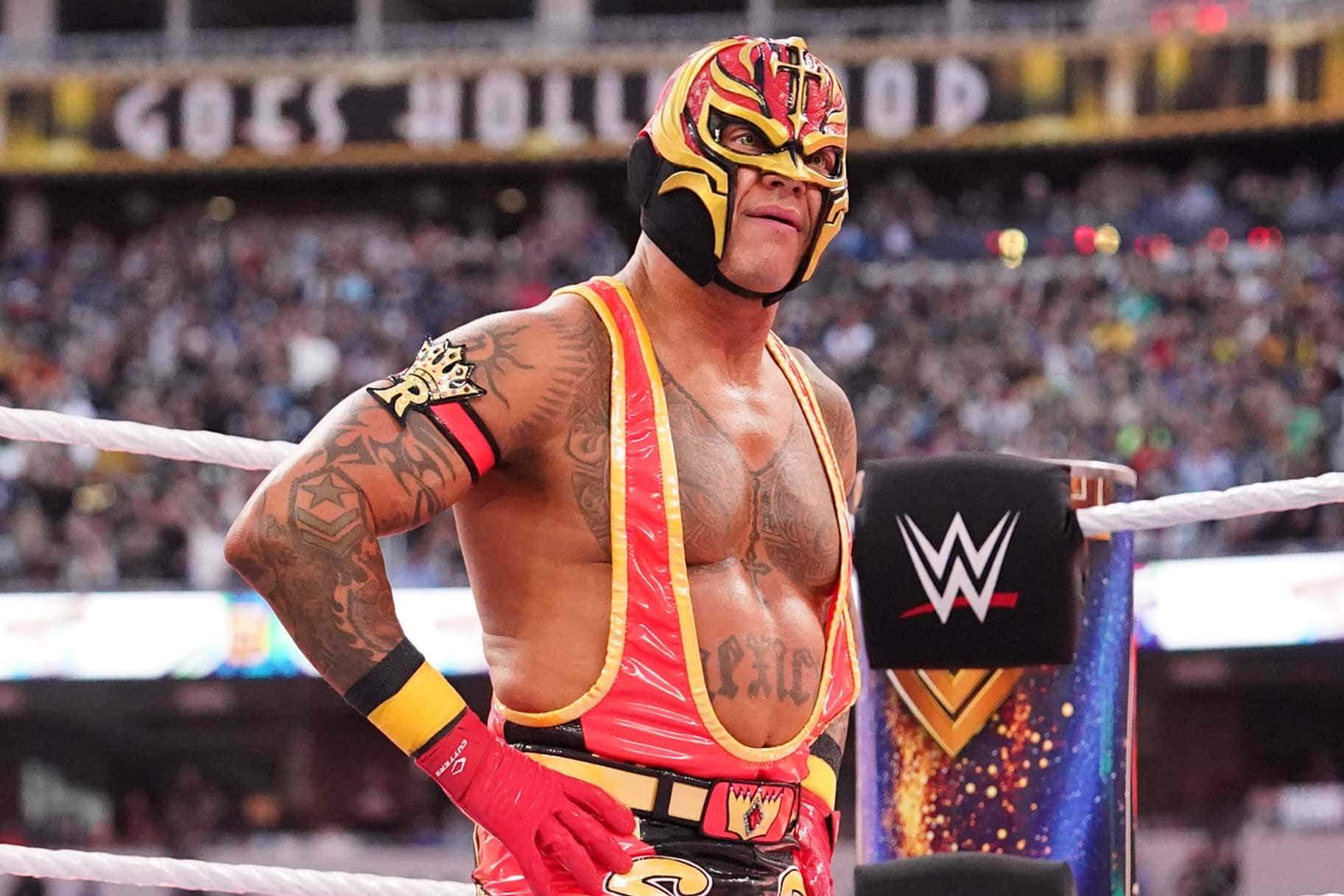 Rey_ Mysterio_ W W E_ Ring_ Appearance Background