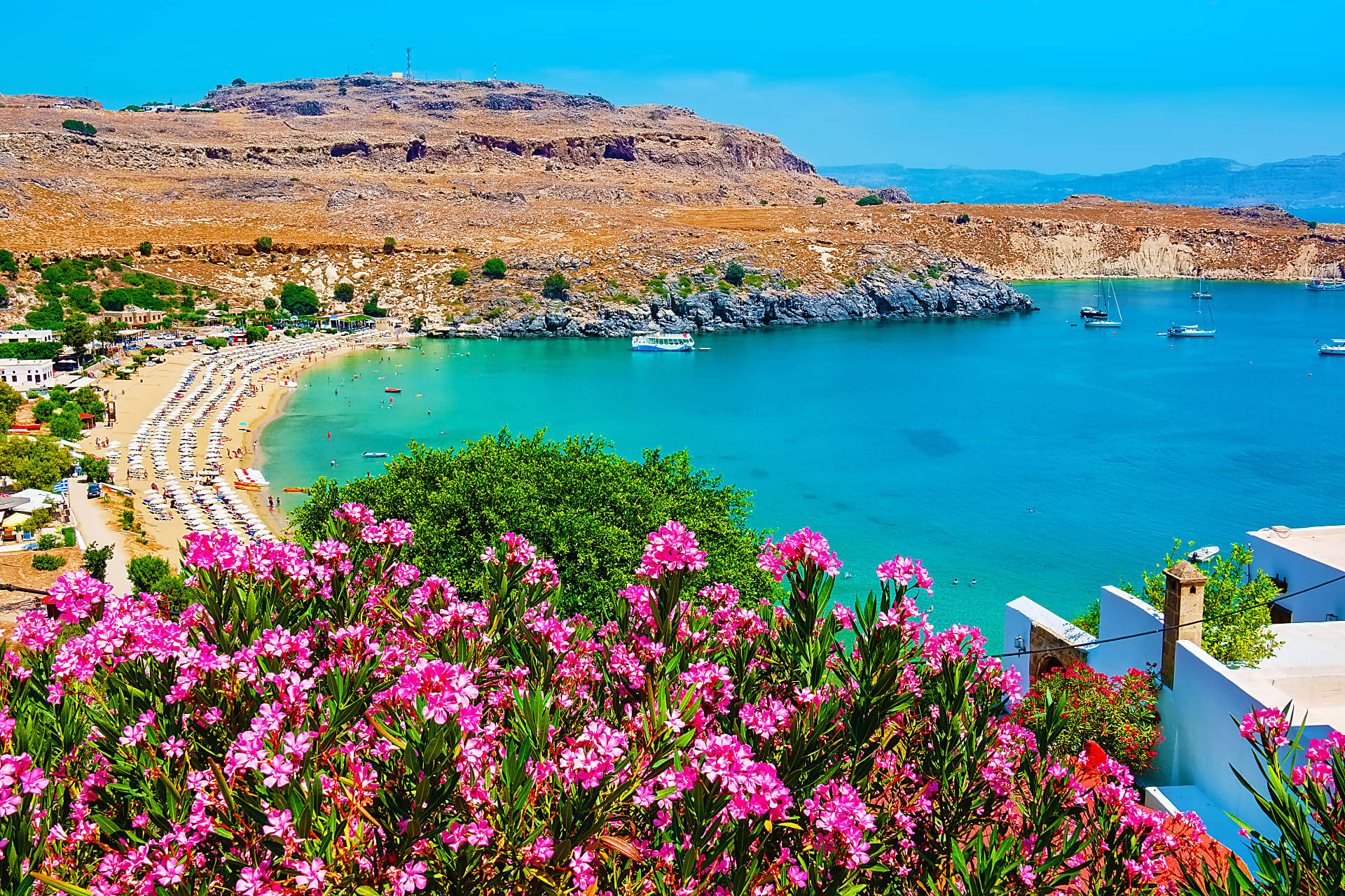 Rhodes Lindos Bay Flowers