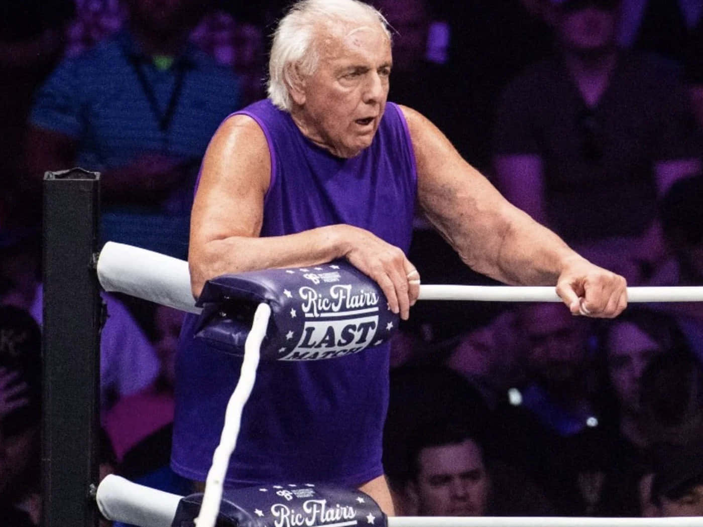 Ric Flair During Match Background
