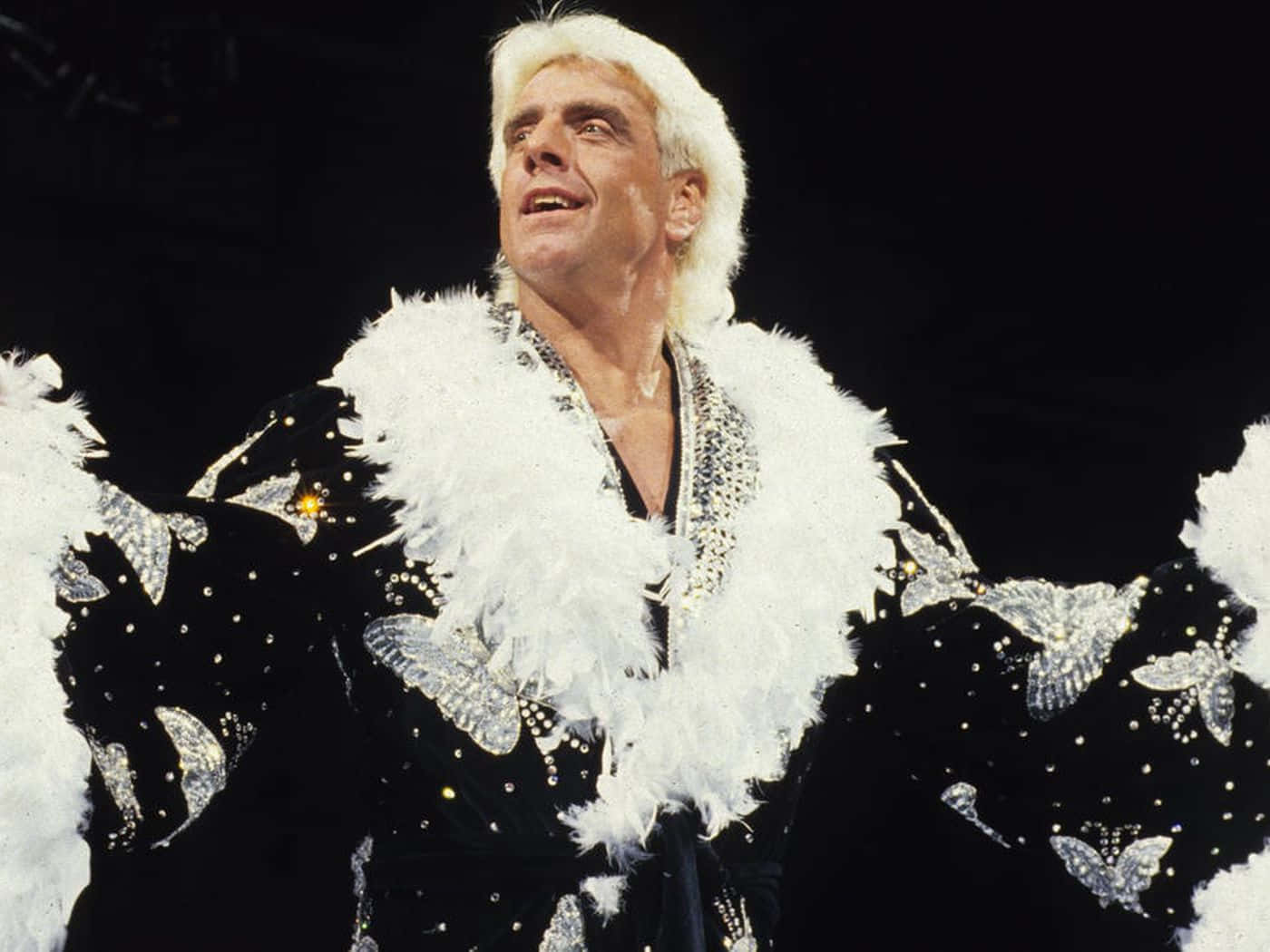 Ric Flair Entertains The Crowd Background