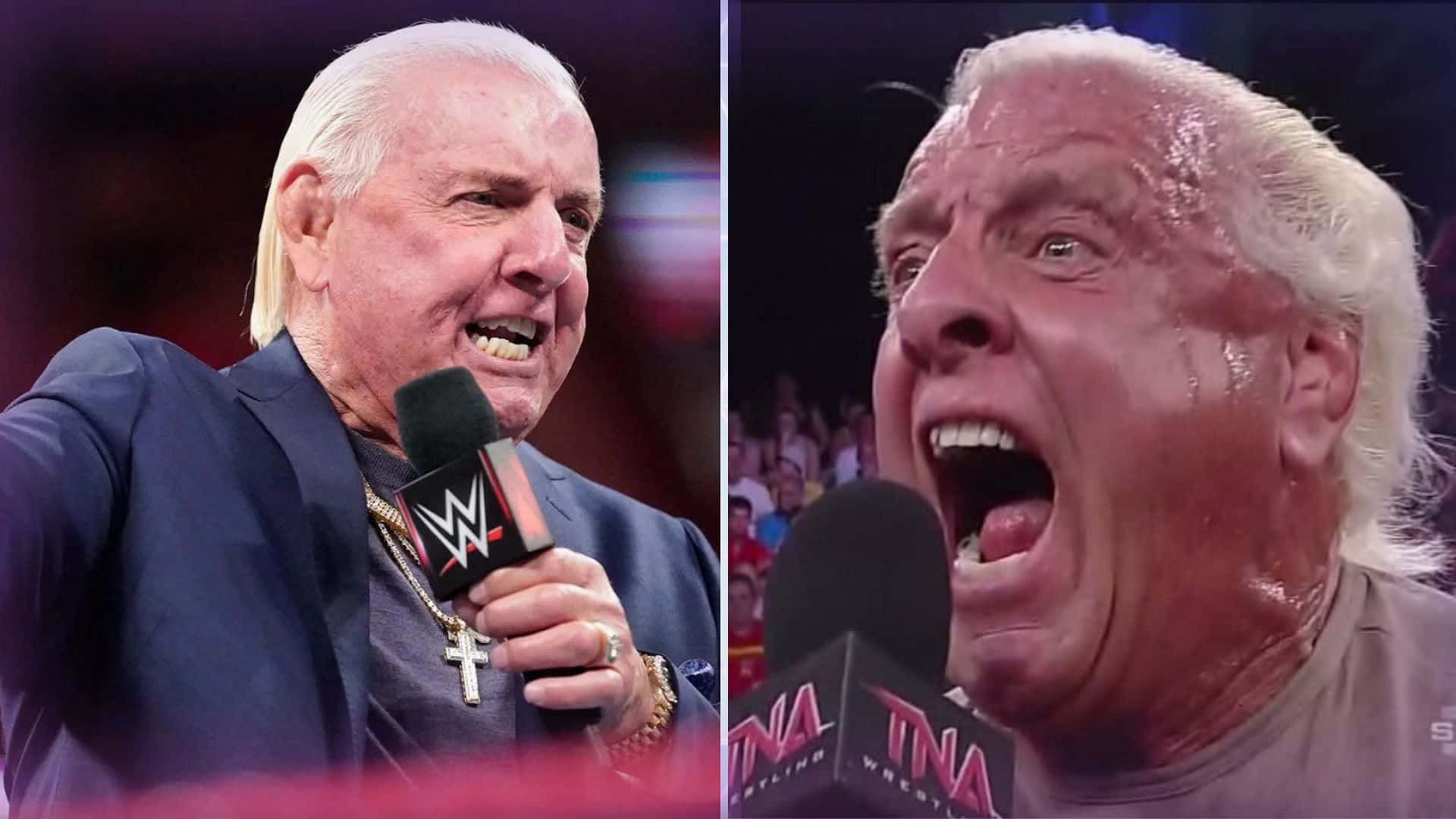 Ric Flair Speaking At Wwe Background