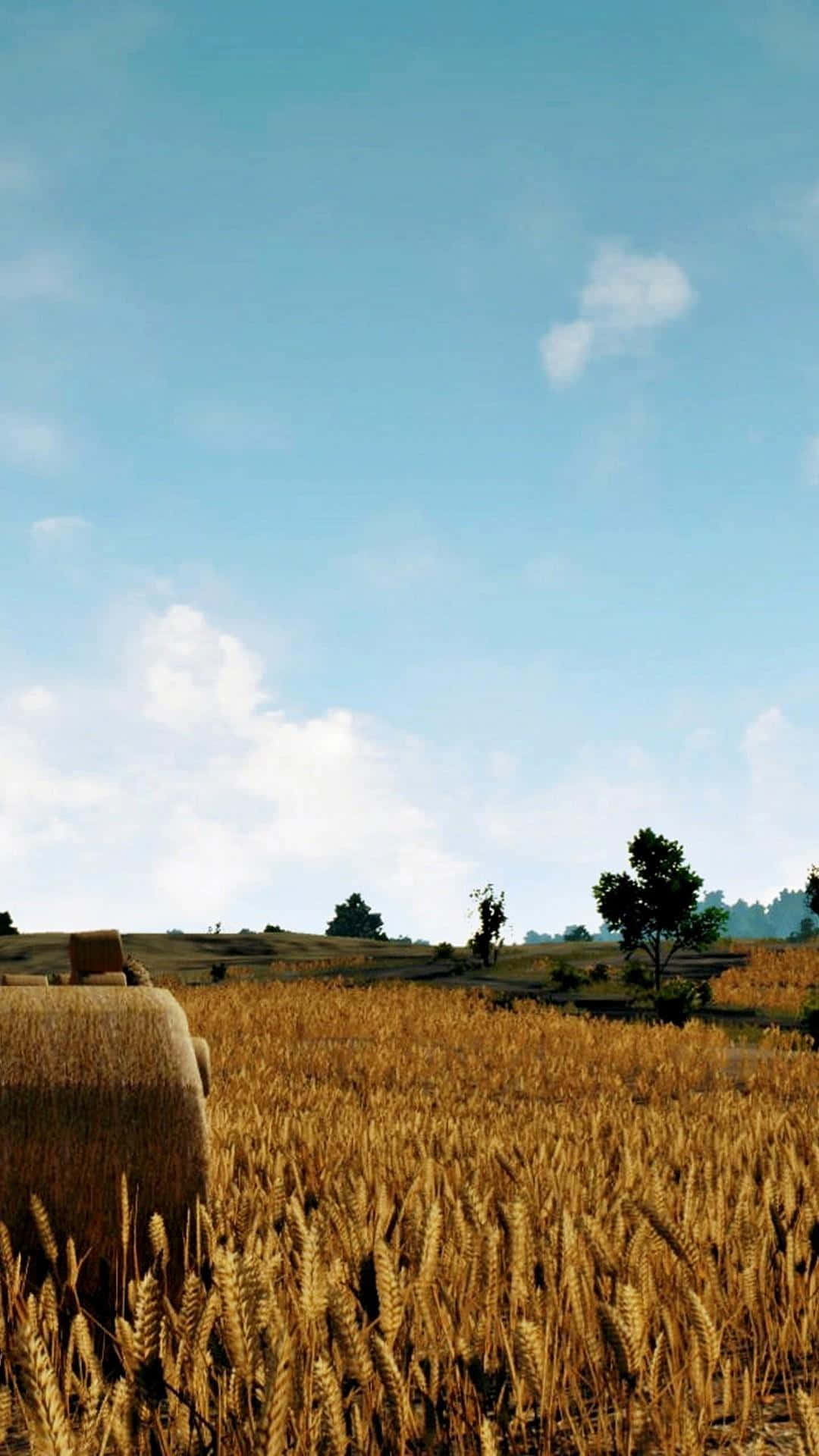 Rice Field Scenery Pubg Iphone Background