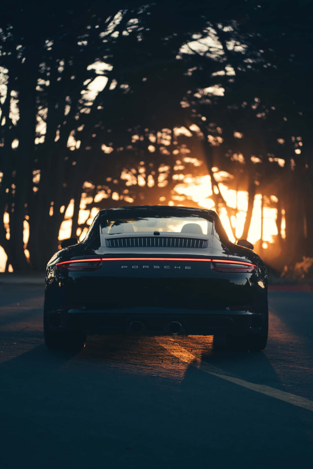 Rich And Sleek, 2020 Porsche 911 Background