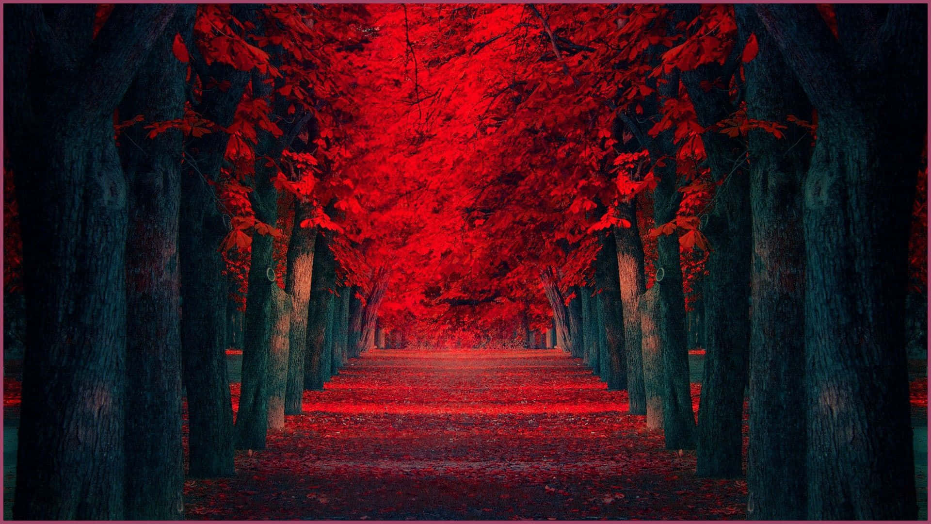 Rich And Vibrant Red 1920x1080 Wallpaper