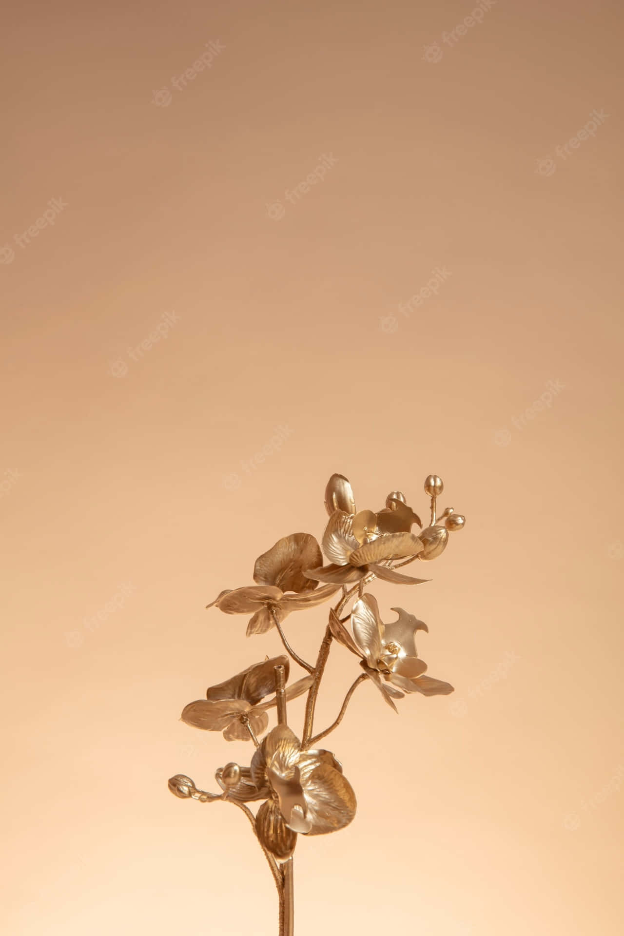 Rich Brown And Golden Texturas Create A Luxurious Interior Background