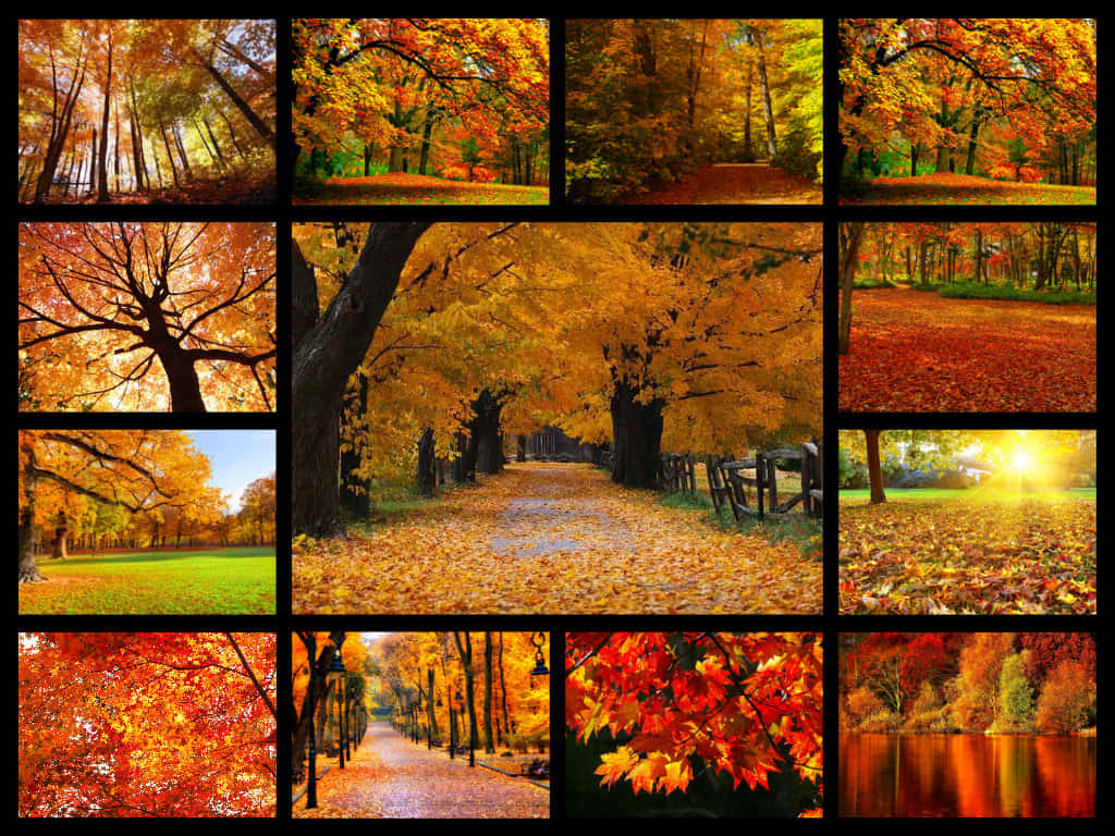 Rich Colorful Autumn Landscape Background