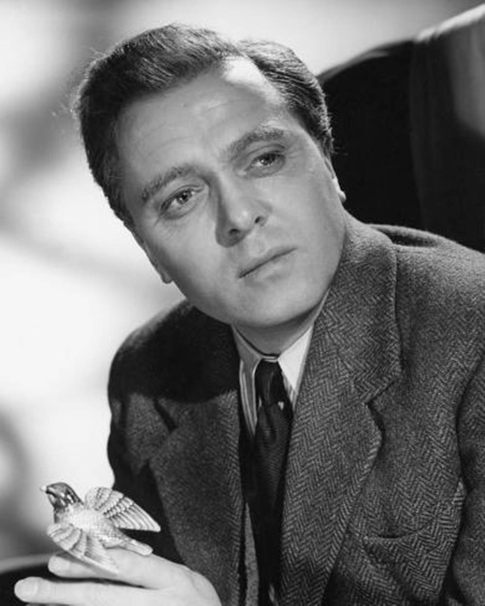 Richard Attenborough Black And White With Bird Background