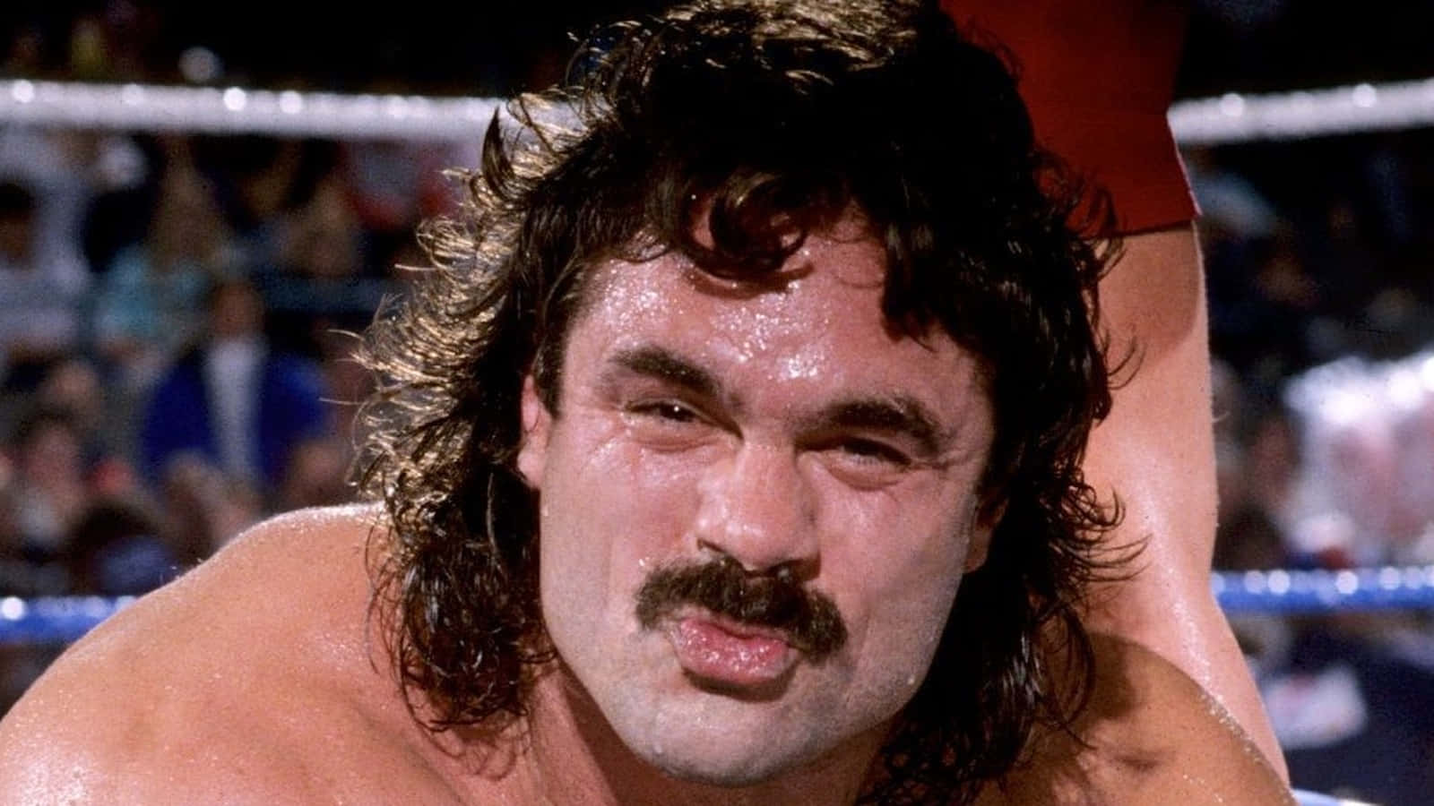 Rick Rude Game Face Wwe Photography Background