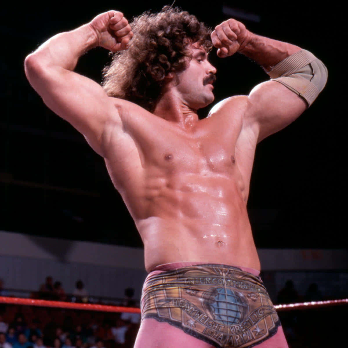Rick Rude Simply Ravishing Wwe Legend Photo Background