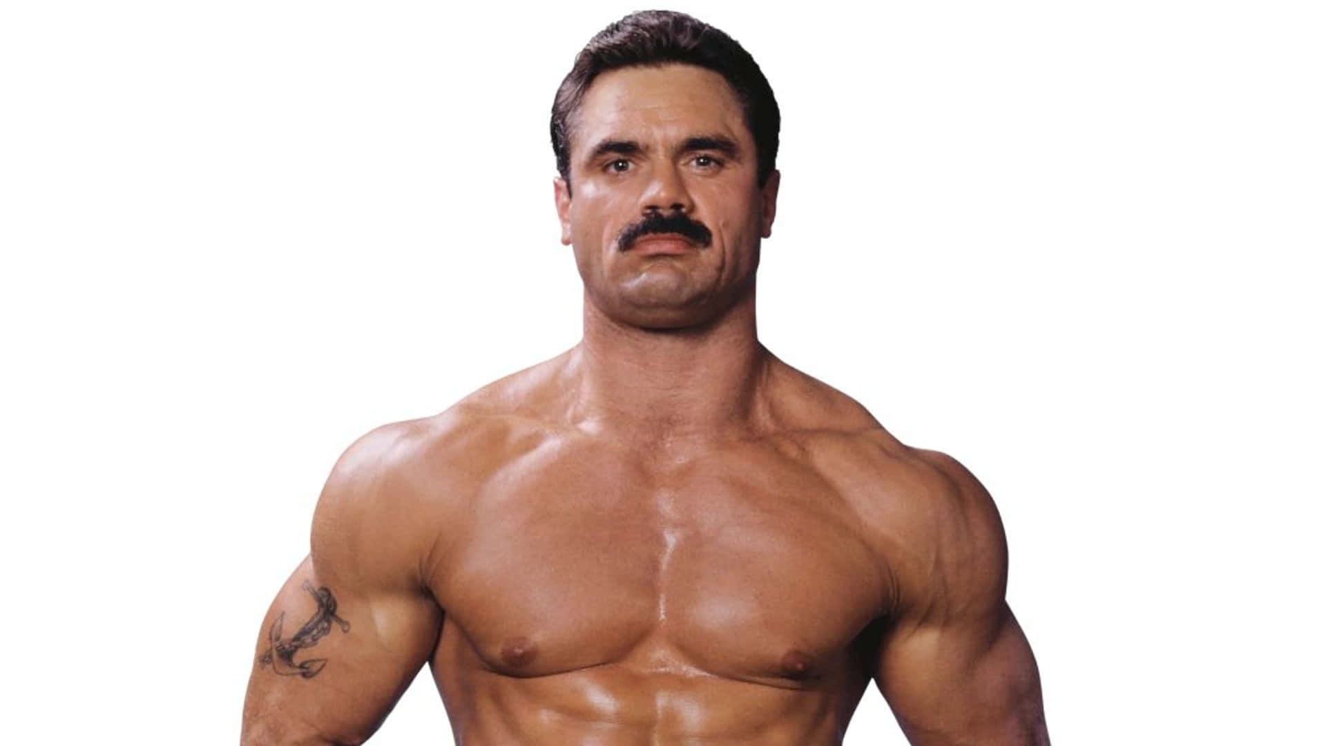 Rick Rude Wwe Legend Profile Photography Background