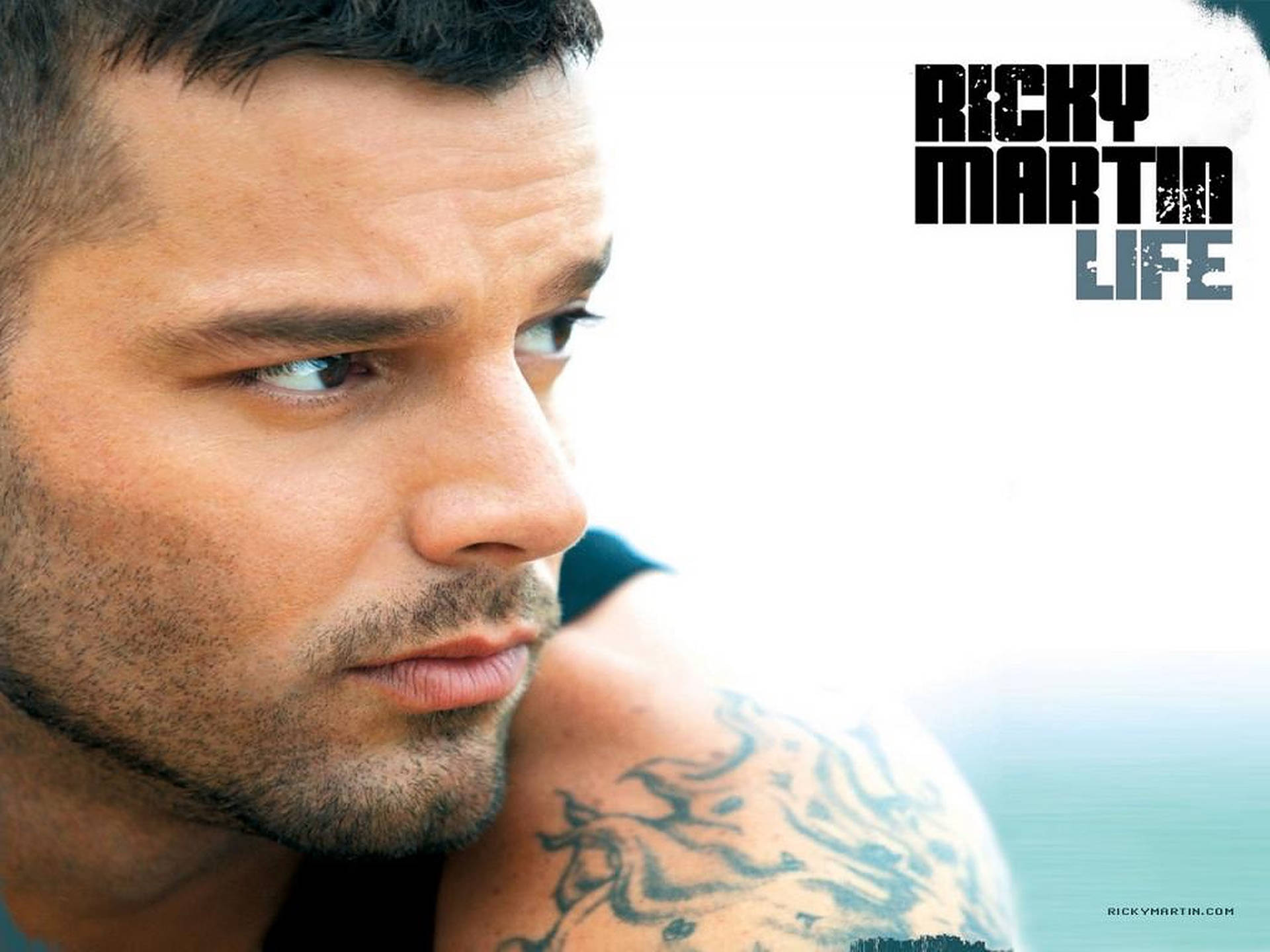 Ricky Martin Life Background