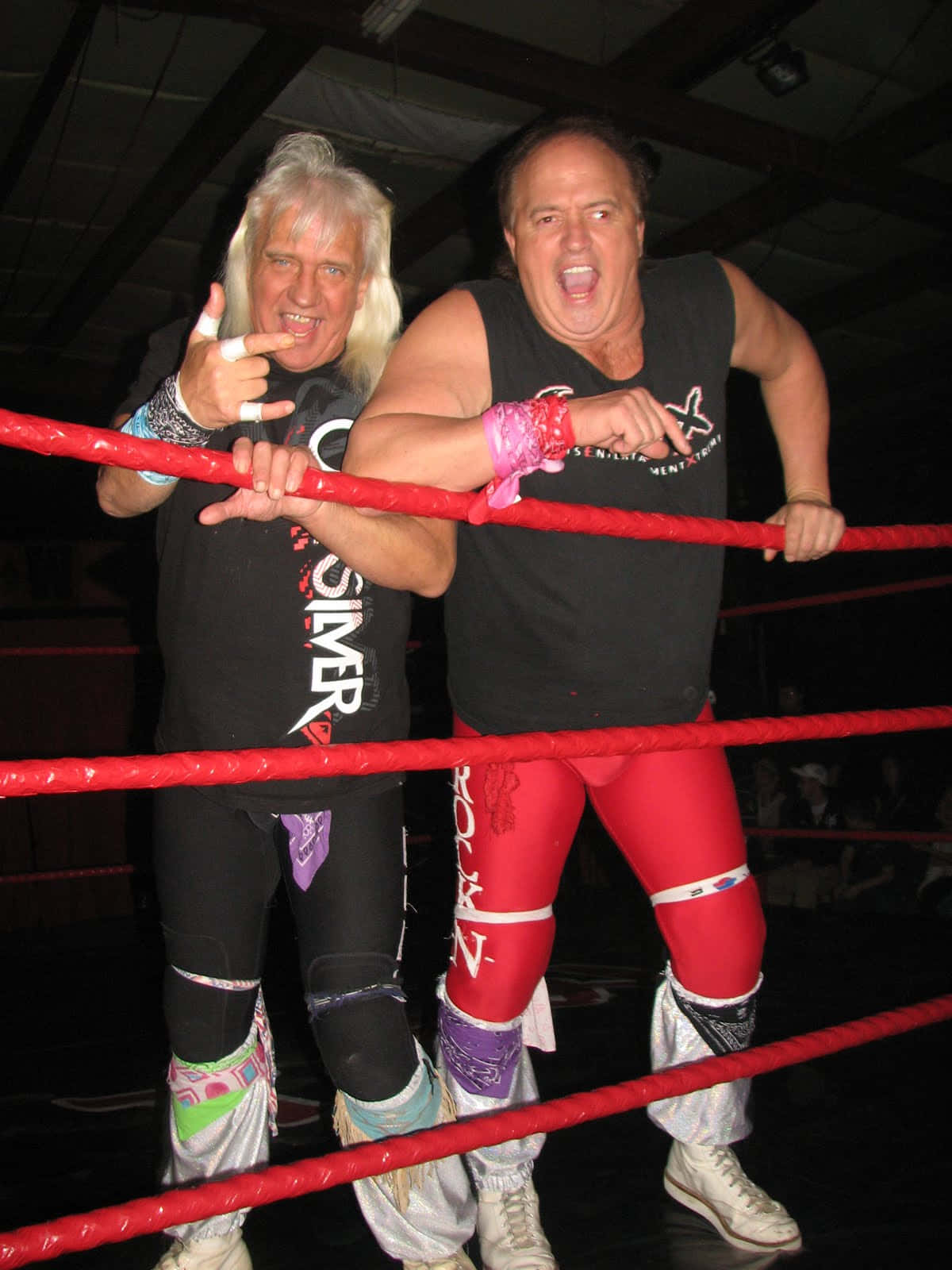 Ricky Morton Tag Team Partner Robert Background
