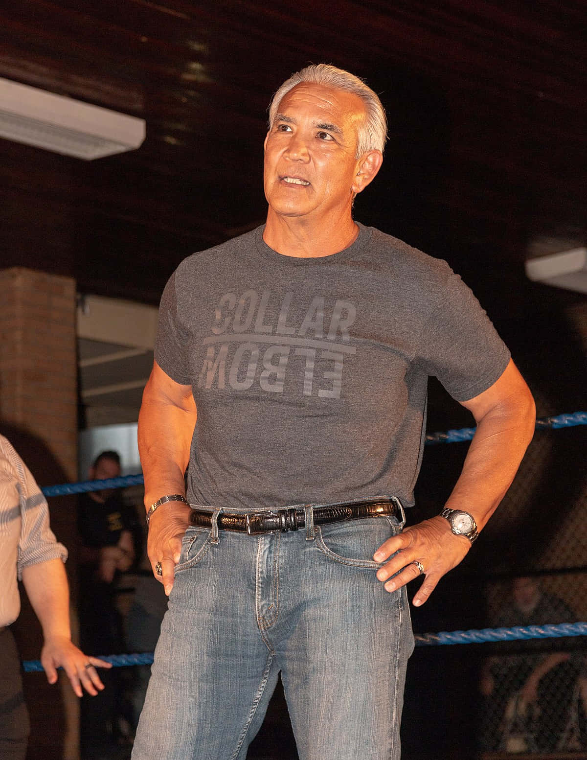 Ricky Steamboat 2018 Greektown Wrestling Show Background