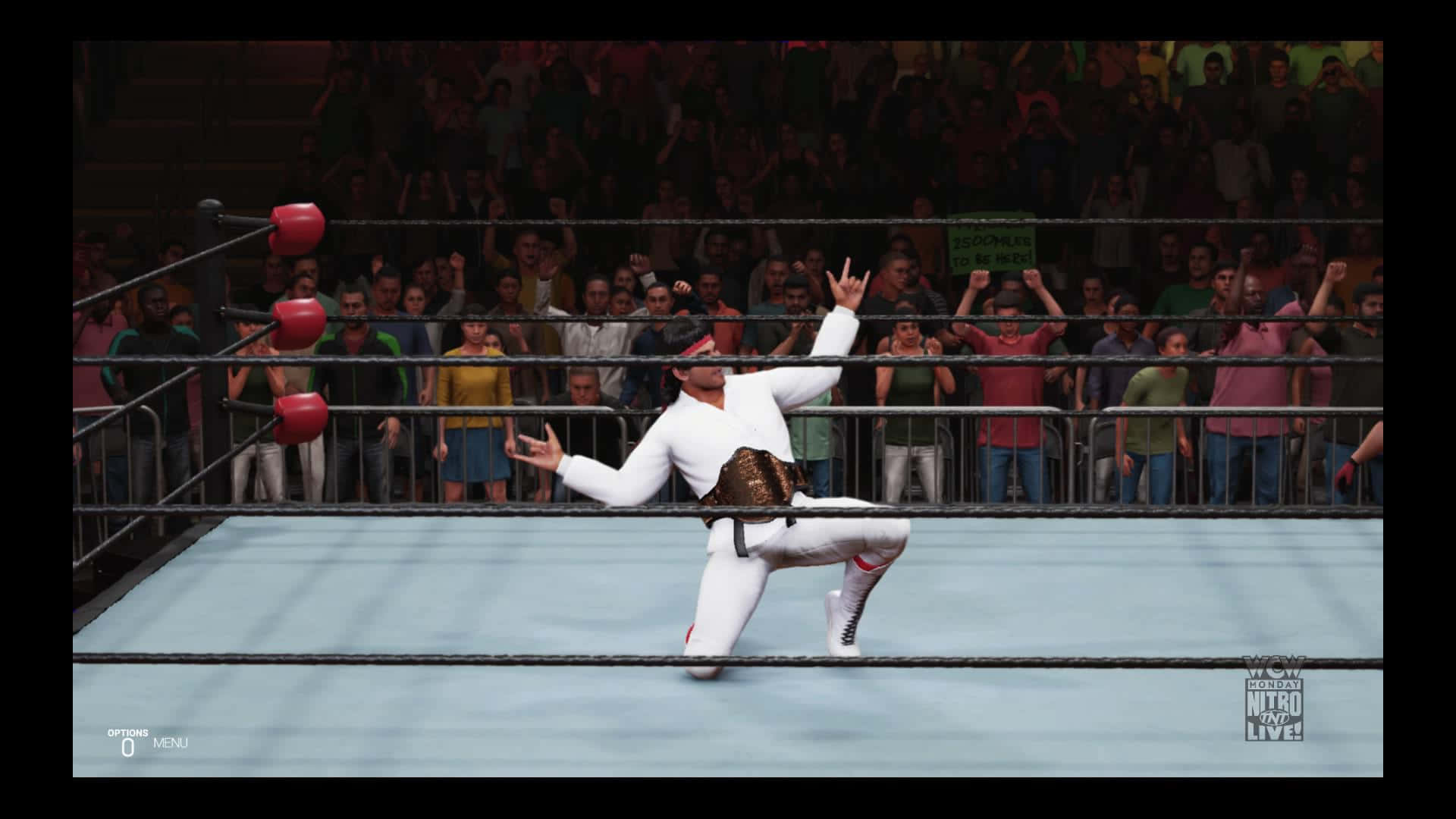 Ricky Steamboat Digitally Rendered Game Character Background