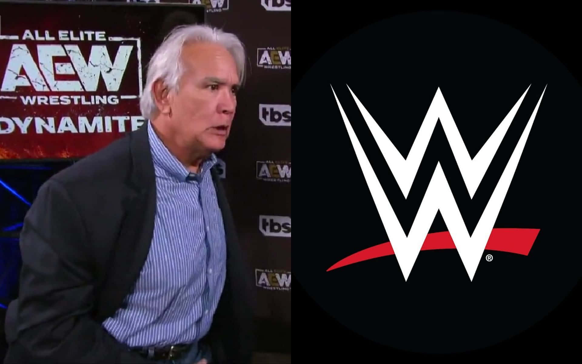 Ricky Steamboat Hall Of Fame Wrestler Background