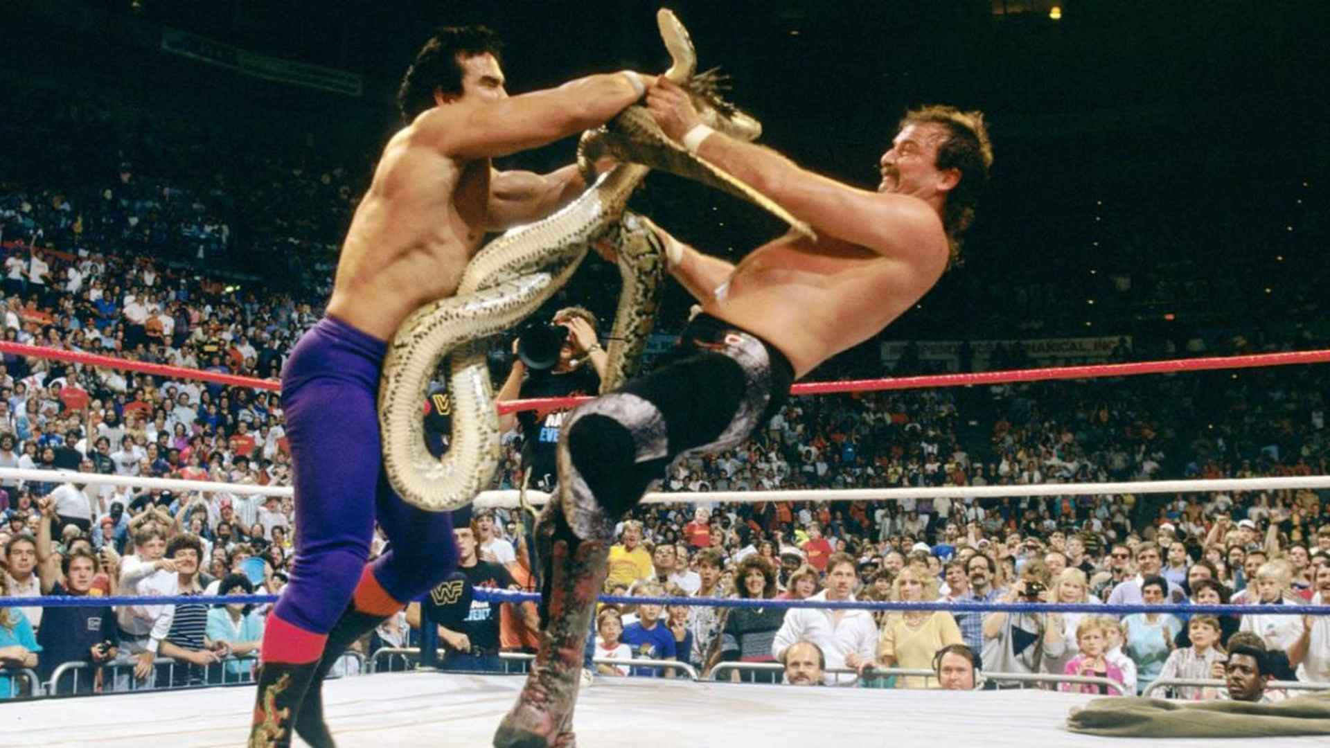 Ricky Steamboat Versus Jake Roberts Background