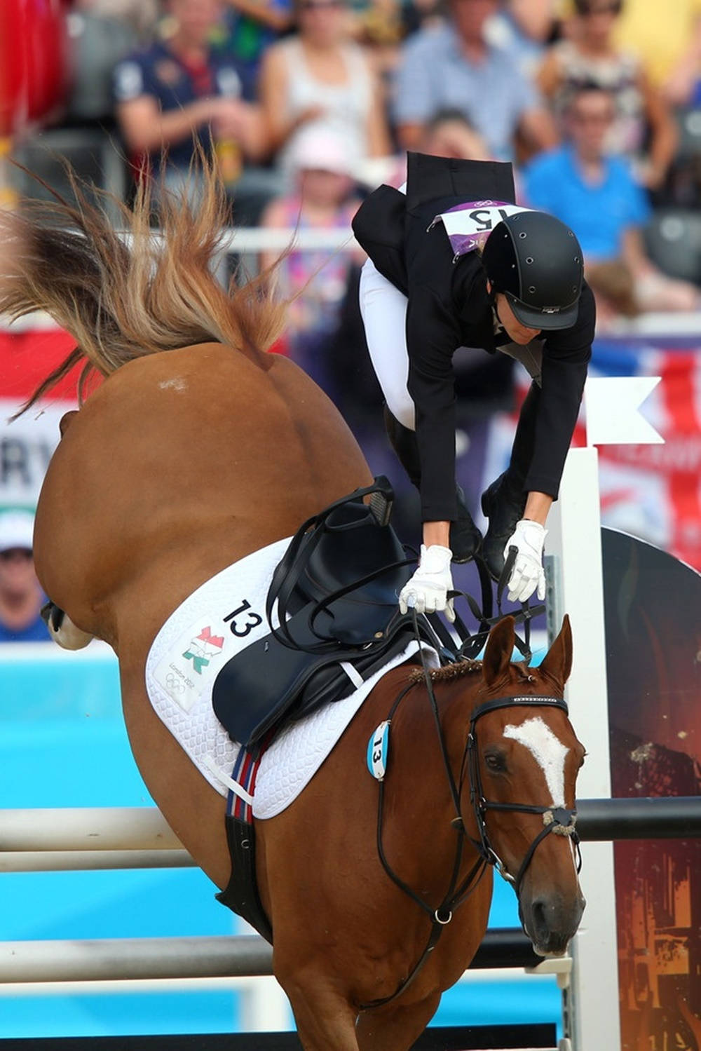 Ride Falls Off Horse Modern Pentathlon Background