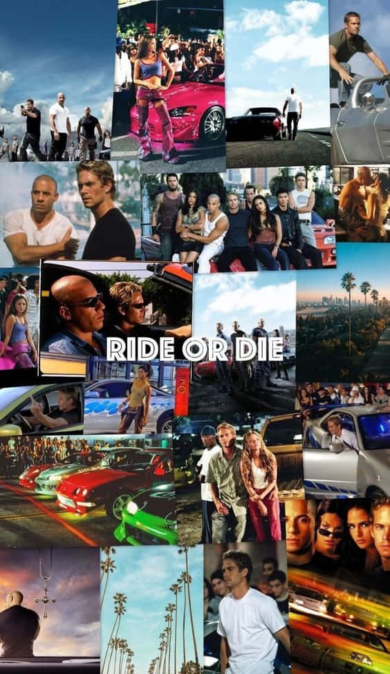 Ride Or Die - Hd - Pc Background