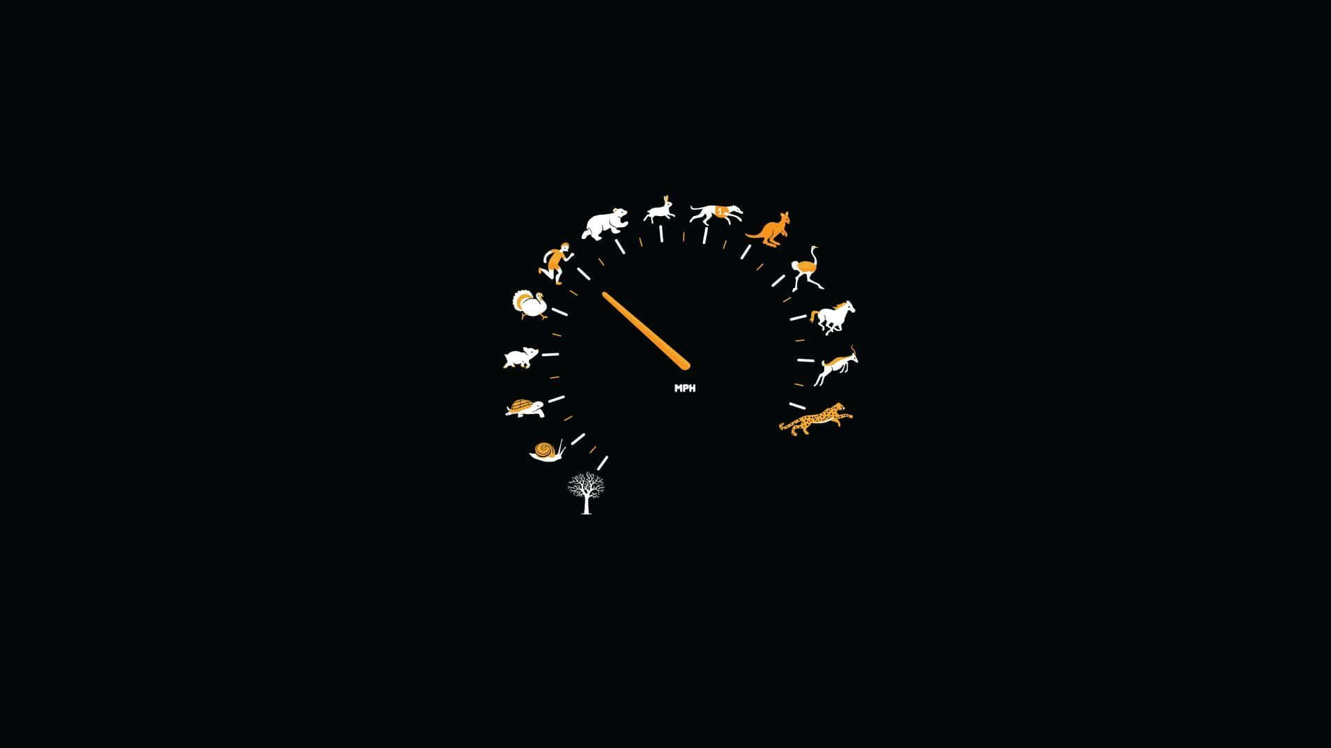 Ridiculous Animal Speedometer