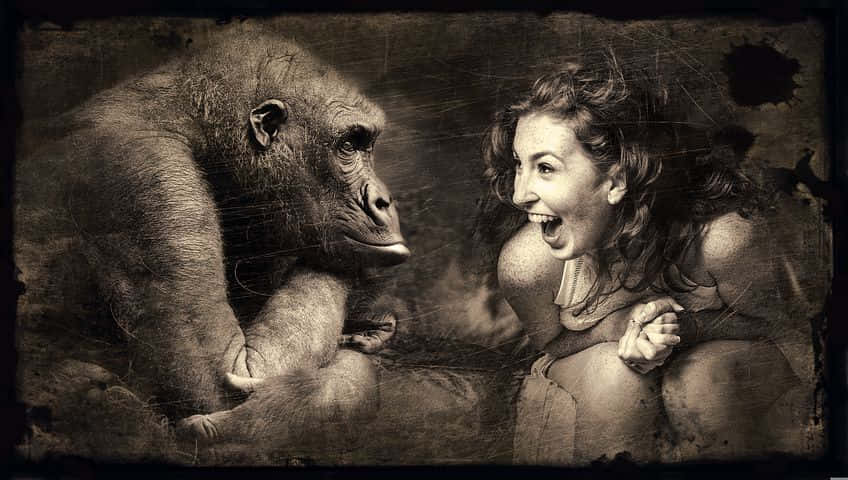Ridiculous Gorilla And Woman