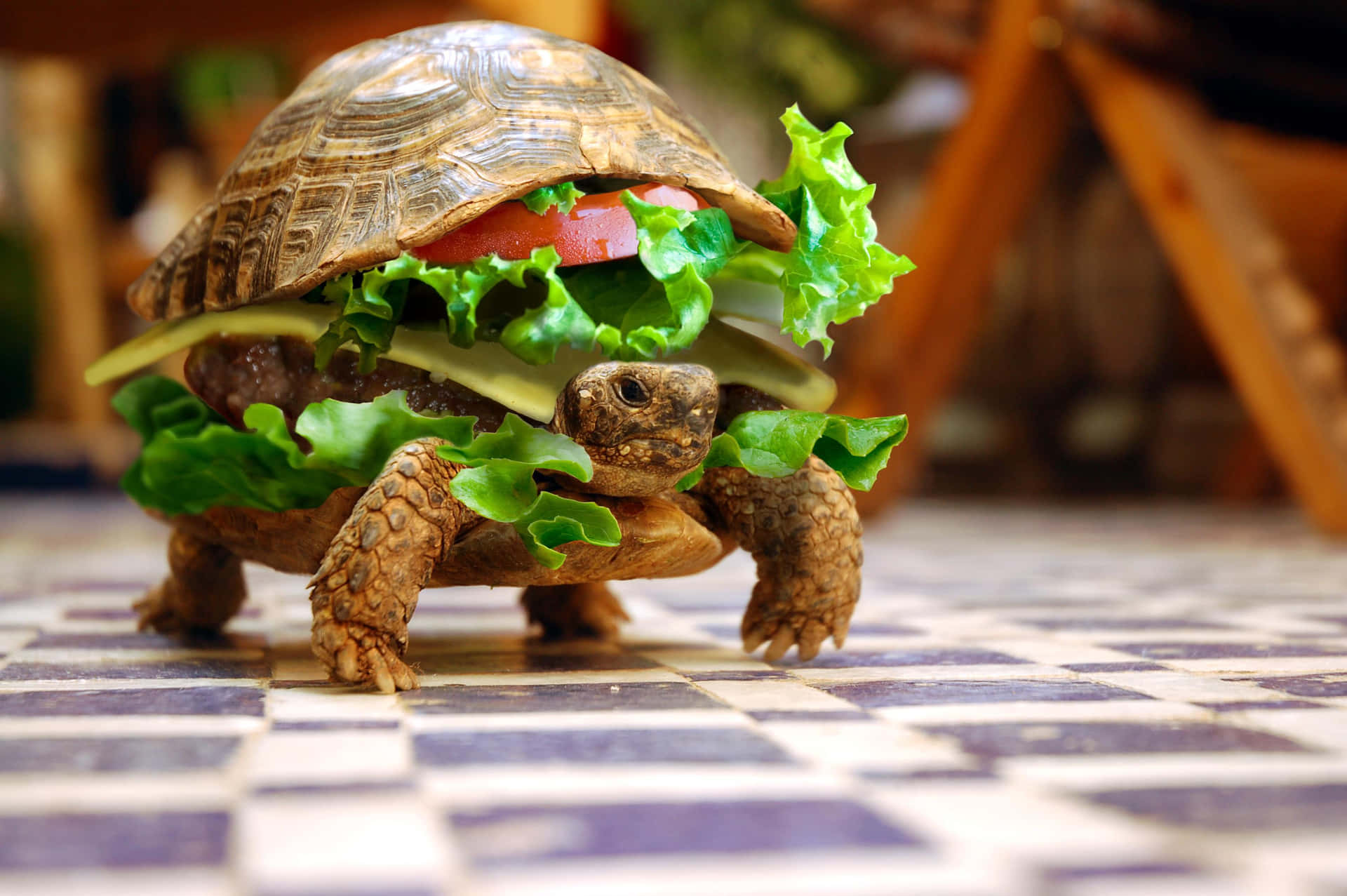 Ridiculous Turtle Burger