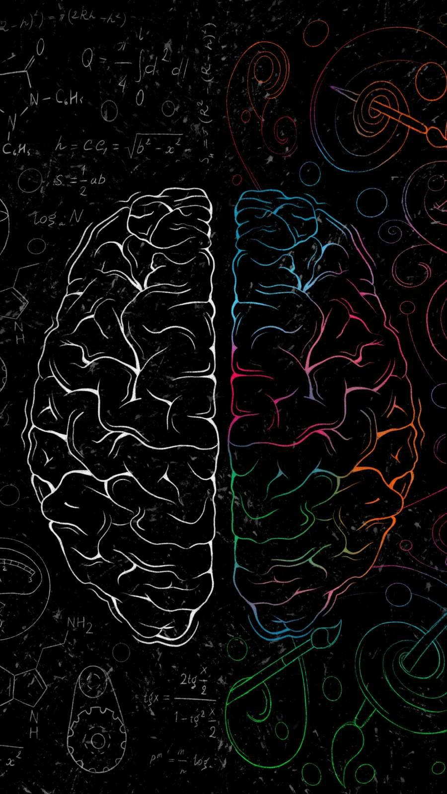 Right And Left Side Of Cerebral Cortex Background