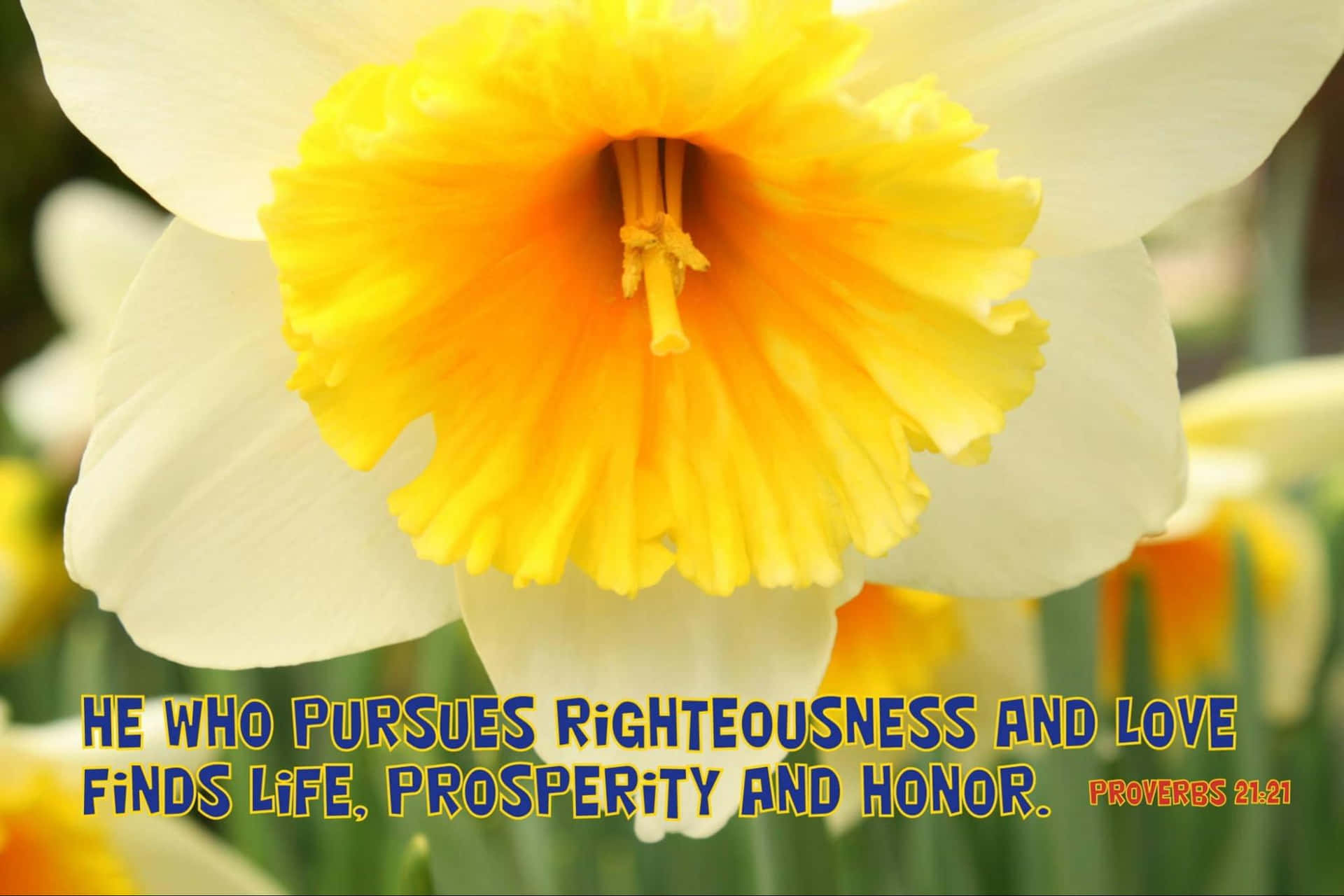 Righteous And Love Verse Background
