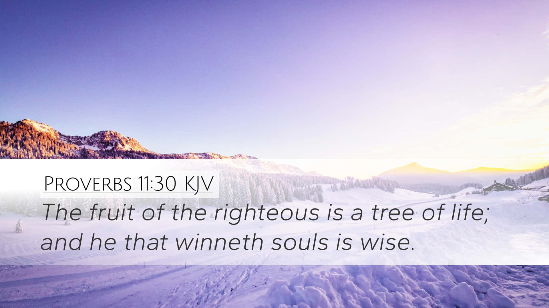 Righteous Is A Tree Of Life Verse Background