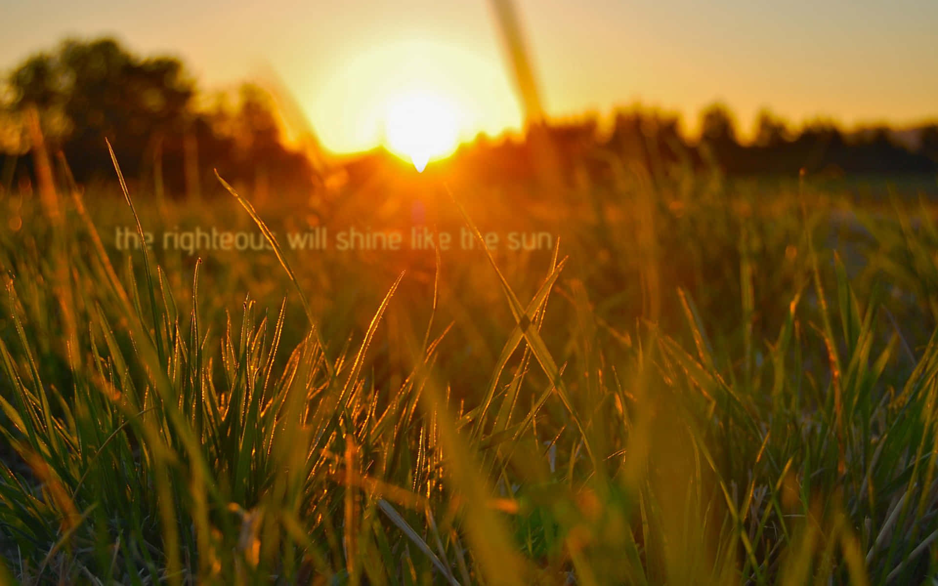 Righteous Sunset Field Background