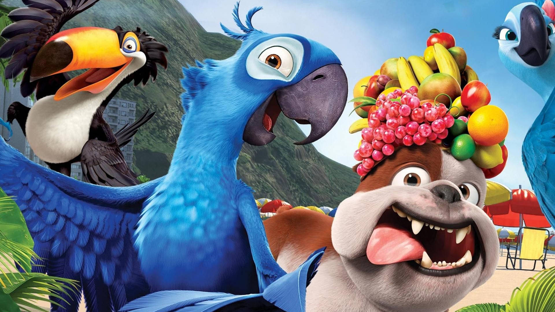 Rio 2 Blu And Characters Background