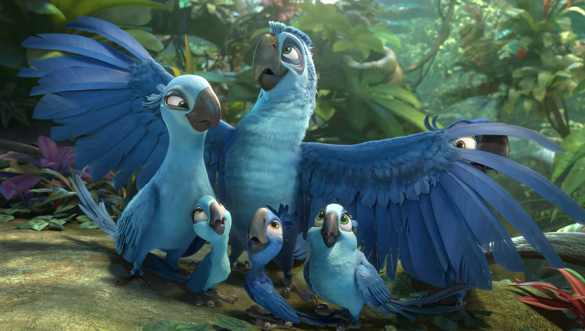 Rio 2 Blu And Family Background