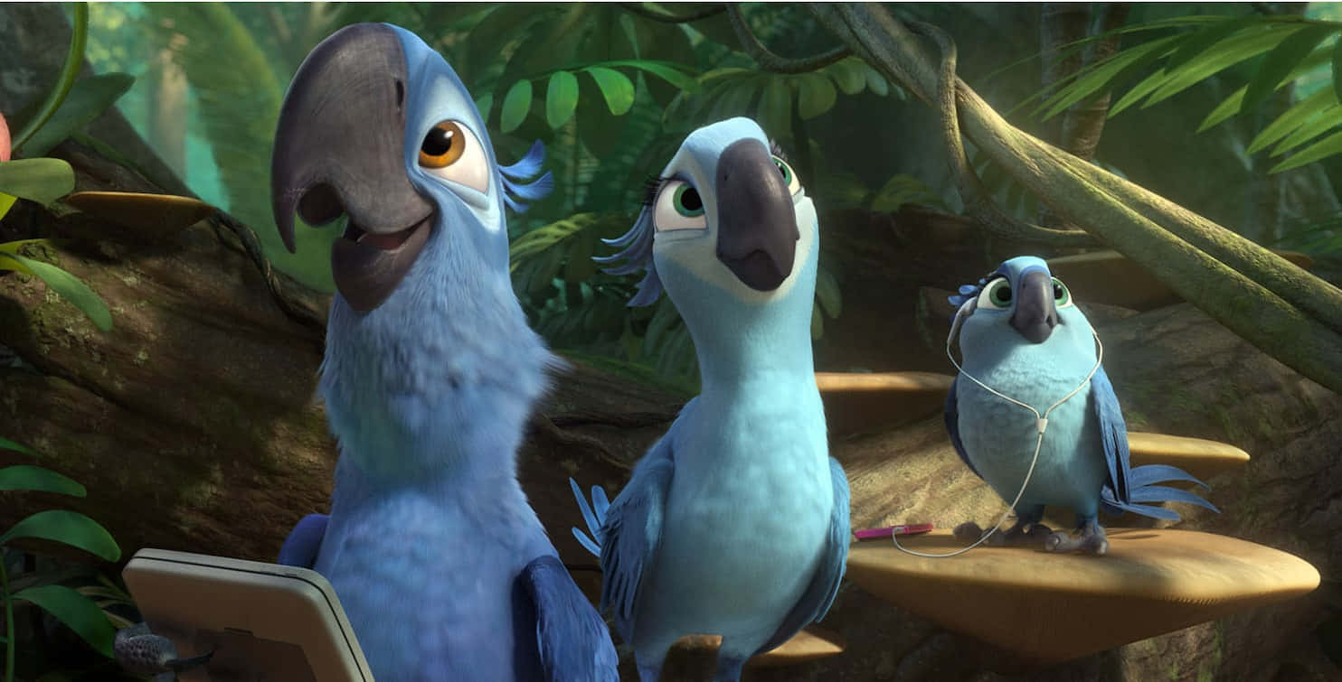 Rio 2 Blu Holding Phone Background