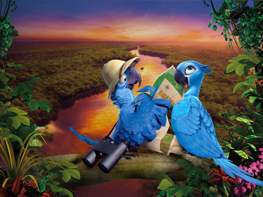 Rio 2 Blu On Branch Background