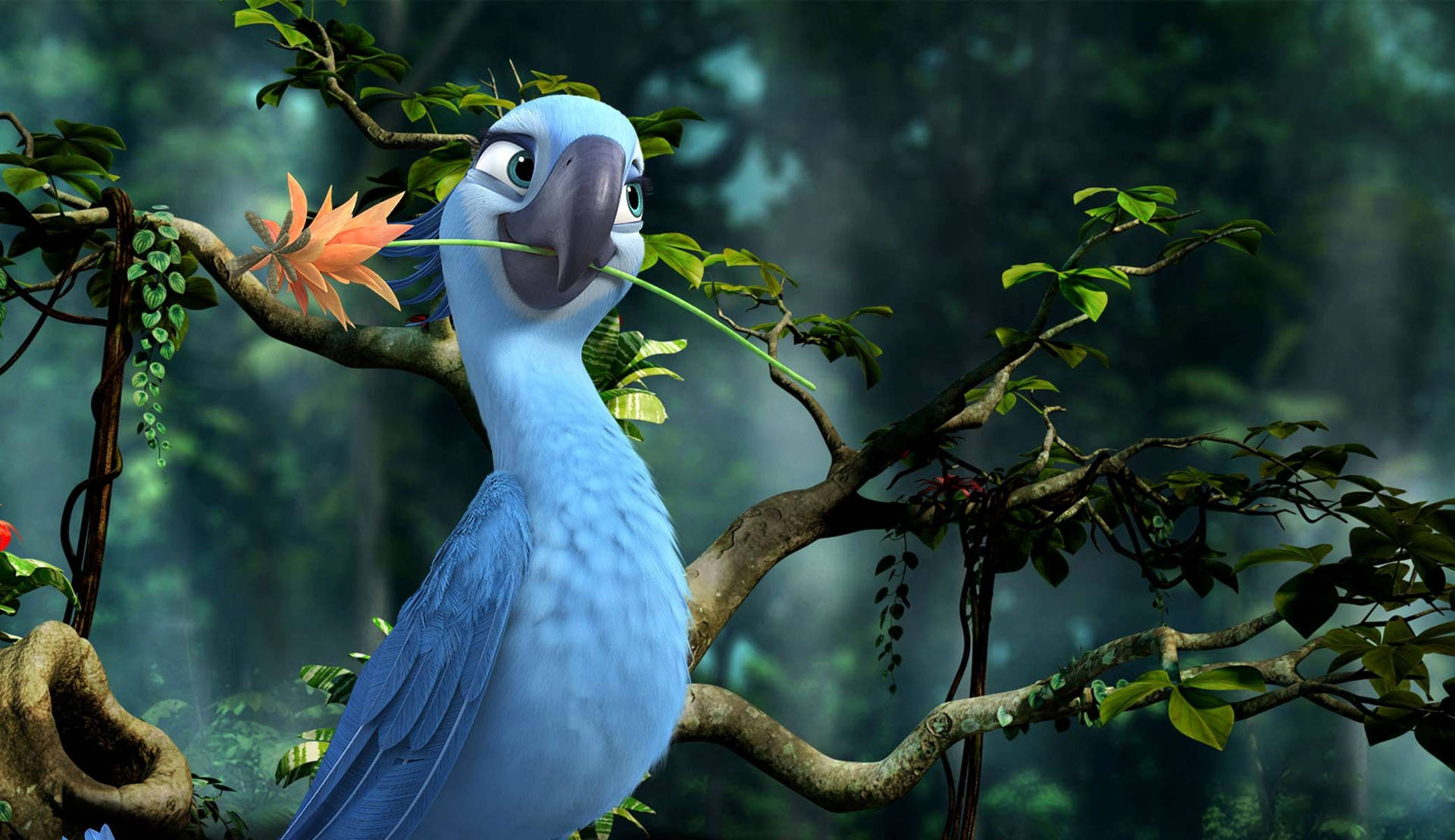 Rio 2 Jewel And Flower Background