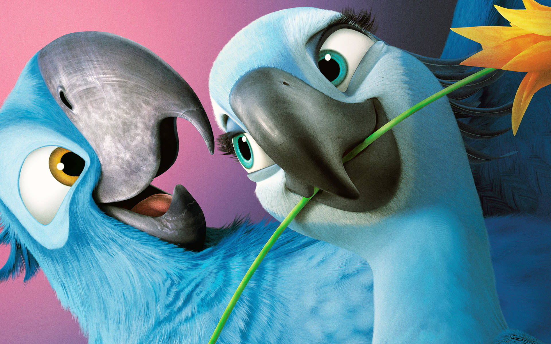 Rio 2 Romantic Couple Background