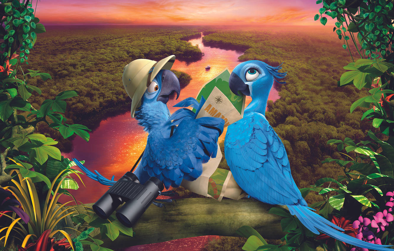 Rio 2 Sunset Sky Background